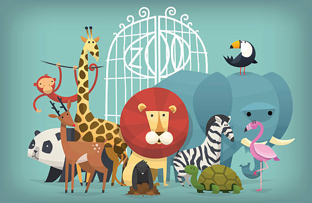 animals in Zoo Vector illustration card with zoo animals standing near gates inviting to visit a Zoo zoo stock illustrations