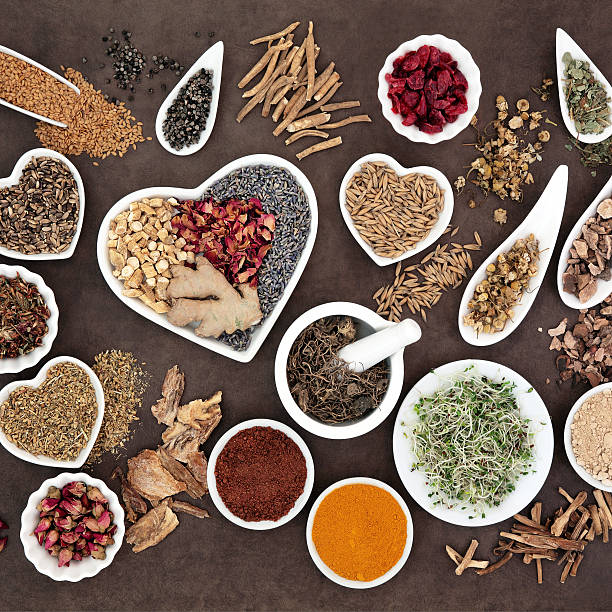 istock Herbal Health for Women 519708040