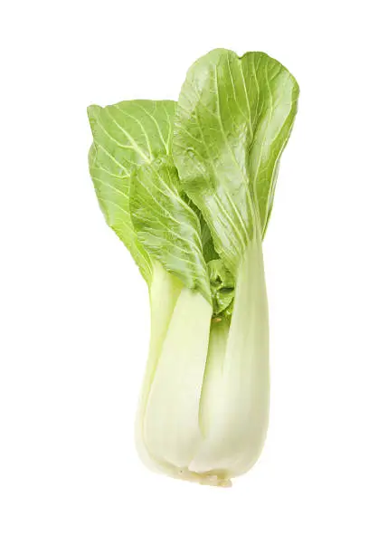 Pak Choi Chinese cabbage also known as Bok Choy isolated on white