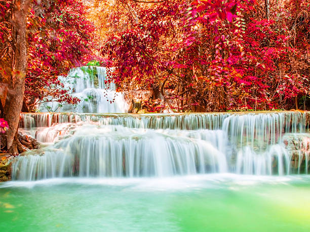 Waterfall in deep forest. stock photo