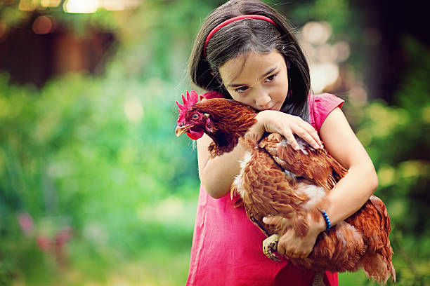 istock Farm girl 519708706