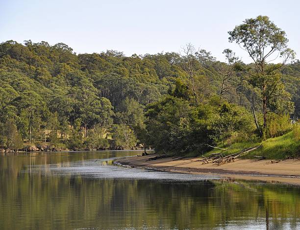 Shoalhaven River scene, Nowra scenery along the Shoalhaven River, Nowra New South Wales Australia  shoalhaven stock pictures, royalty-free photos & images