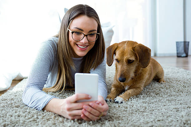 jeune femme avec son chien à l'aide de téléphone portable à la maison. - animal cell photos photos et images de collection