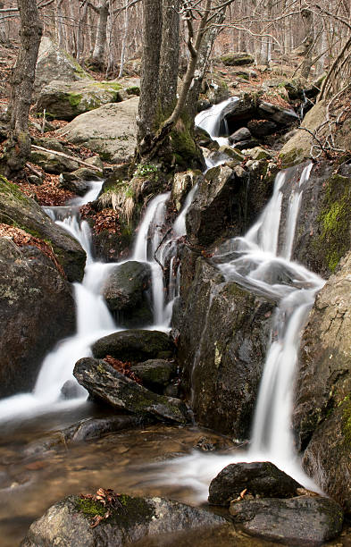 istock the waterfall in the woods 519709522