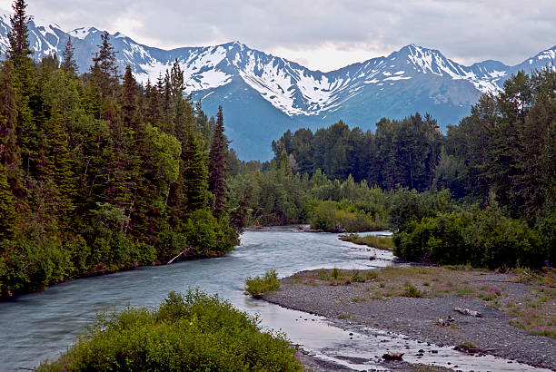 girdwood, alyeska, alasca - chugach mountains - fotografias e filmes do acervo