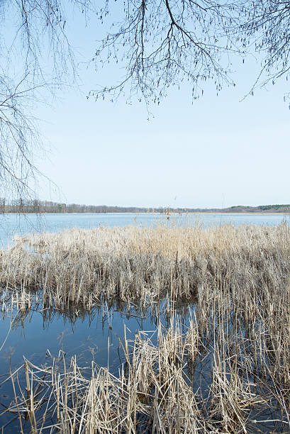 istock Cool spring tatar landscape and lake 519711510