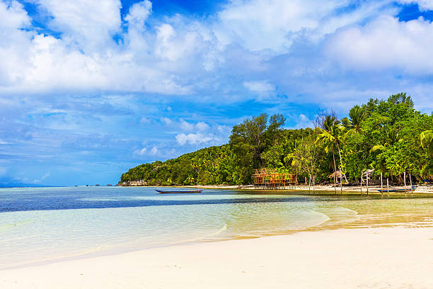 istock View of Tropical Island 519715894