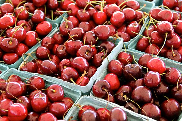 istock Baskets of Fresh Cherries 519717382