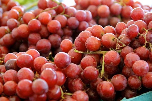 bunches der weintrauben - grape red grape red farmers market stock-fotos und bilder