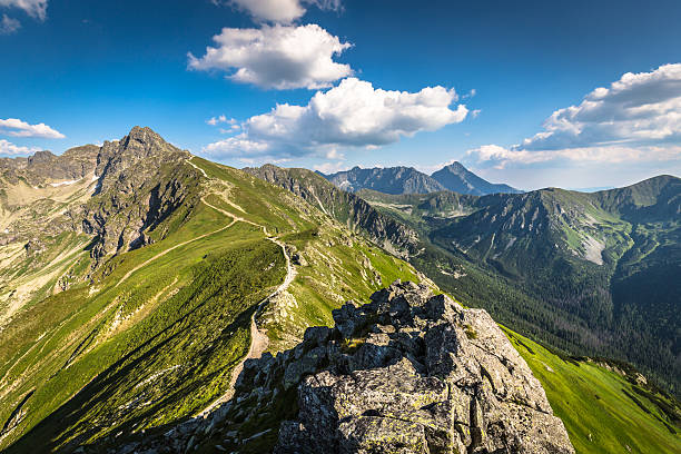 istock Summer Tatra Mountain, Poland, view from Kasprowy Wierch 519718588