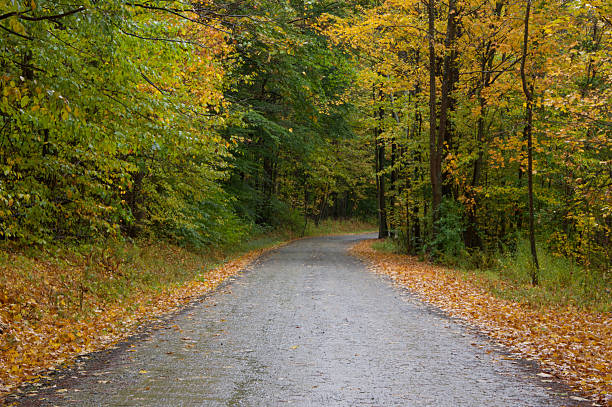 istock Country Road in Autumn 519720733