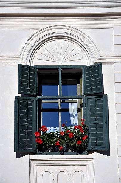 istock Green window shutters and red geranium flowers 519722649