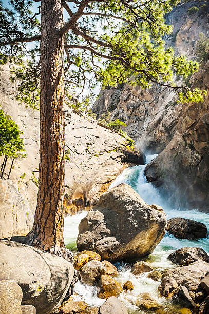 istock River flowing through the mountains. King's Canyon National Park. 519727599