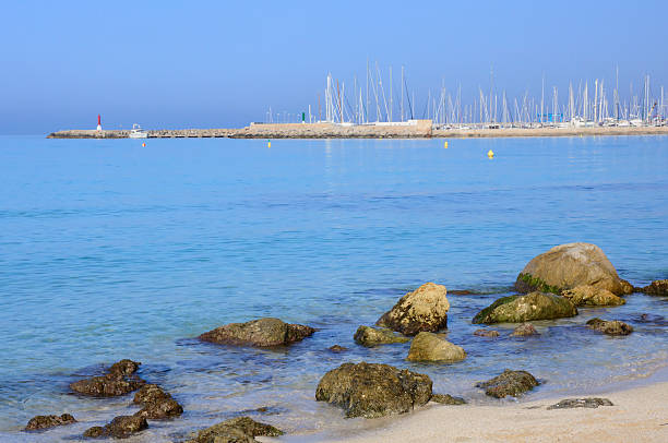 istock Morning in the marina 519728481