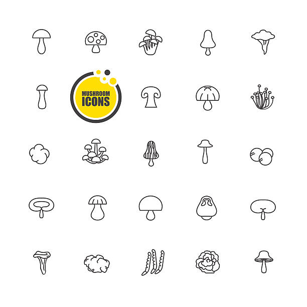 ilustrações, clipart, desenhos animados e ícones de ícone de cogumelos - mushroom edible mushroom fungus symbol