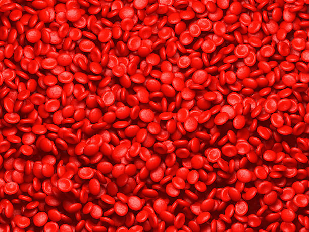 istock Red blood cells erythrocytes. 519735882