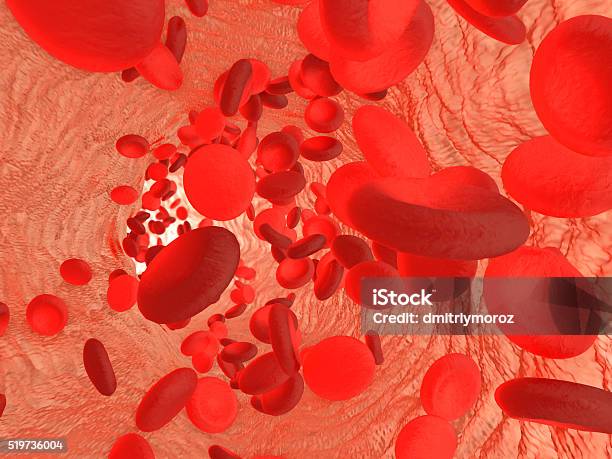 Foto de Células Vermelhas Do Sangue Eritrócitos e mais fotos de stock de Alvéolos - Alvéolos, Ampliação, Anatomia
