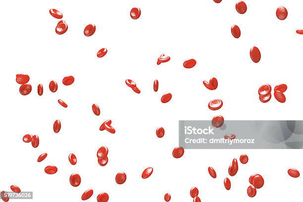 Foto de Células Vermelhas Do Sangue Eritrócitos e mais fotos de stock de Alvéolos - Alvéolos, Ampliação, Anatomia