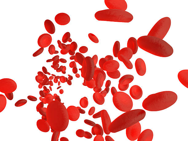 istock Red blood cells erythrocytes. 519736078