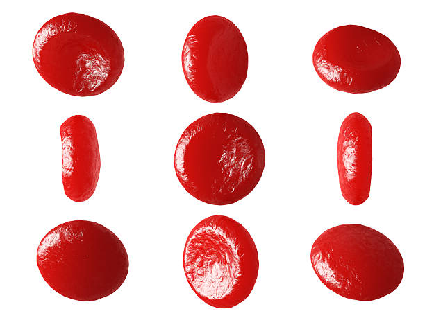 istock Red blood cells erythrocytes. 519736158