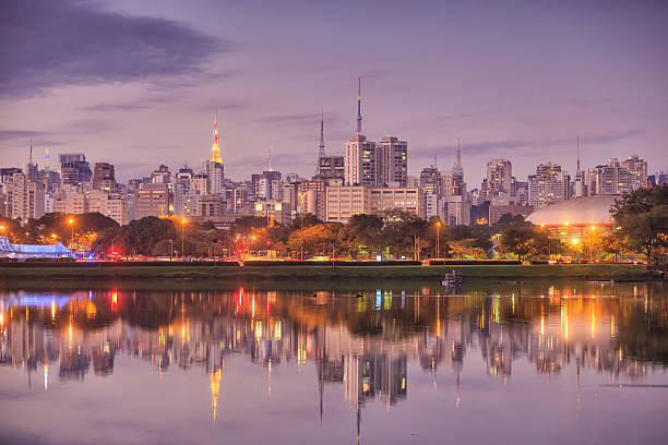 istock Sao Paulo skyline from Ibirapuera Park park 519737066