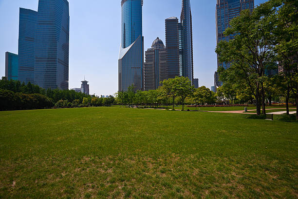 istock Park empty lawn with modern city buildings background 519737336