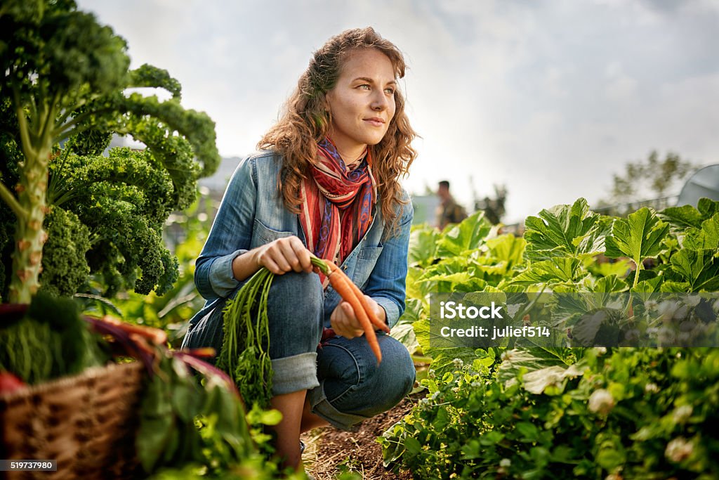Friendly woman harvesting fresh vegetables from the rooftop greenhouse garden Female gardener tending to organic crops and picking up a bountiful basket full of fresh produce Women Stock Photo
