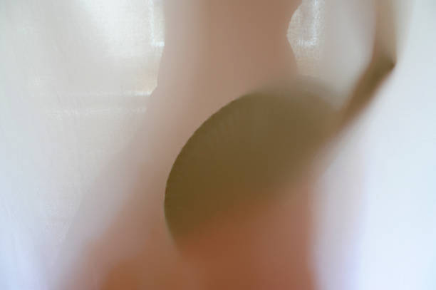 istock Woman and Fan 10 519738942