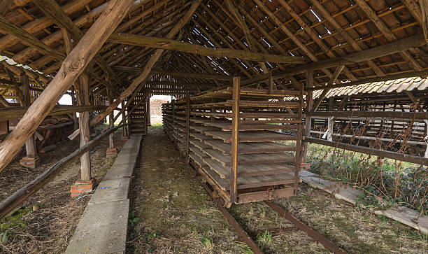 istock Drying shed of an old brick factory 519746061