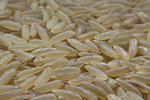 istock Wholegrain Rice Scattered in Pile 519746743