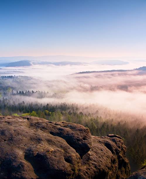 istock Dreamy misty forest  landscape. Majestic peaks cut lighting mist. 519746766
