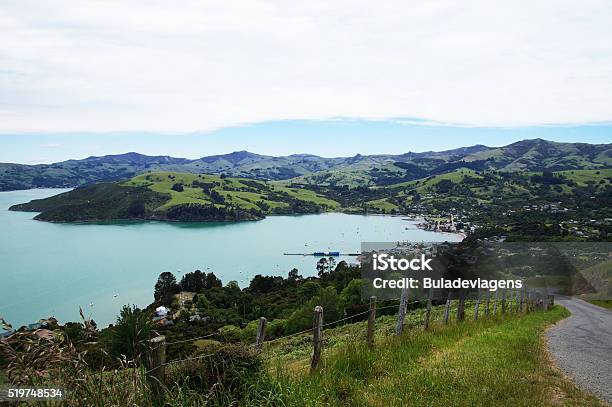 Banks Peninsula In The Canterbury Akaroa Stock Photo - Download Image Now - Christchurch - New Zealand, Water, Akaroa