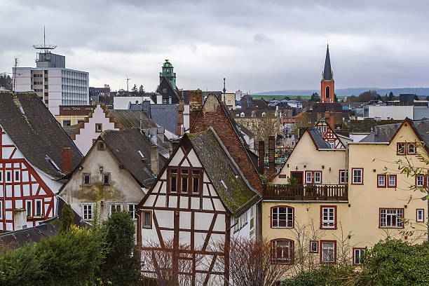 Enjoy the magnificent view over Bern, the Aare River and the surroundings from Rosengarten
