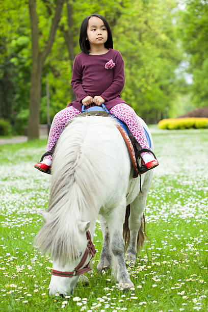 Cheerful child learning how to ride on a horseback