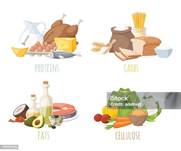 Healthy Nutrition Proteins Fats Carbohydrates Balanced Diet Cooking Culinary And Stock Illustration - Download Image Now