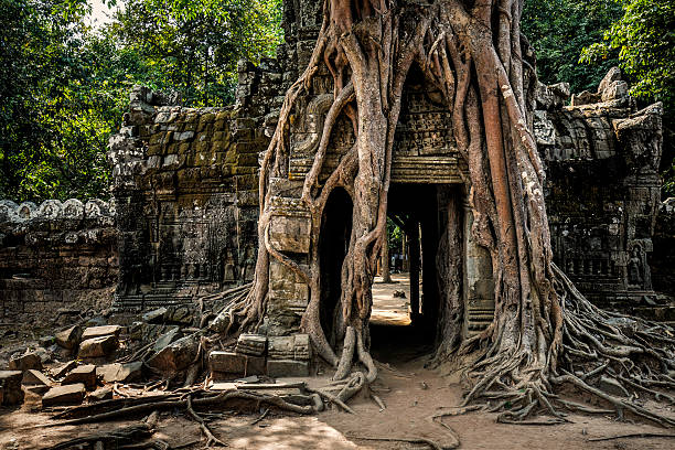 istock Ta Som temple Angkor Cambodia 519752108