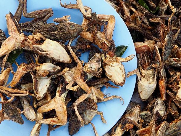 istock Delicious fried green frogs on blue plate 519752132