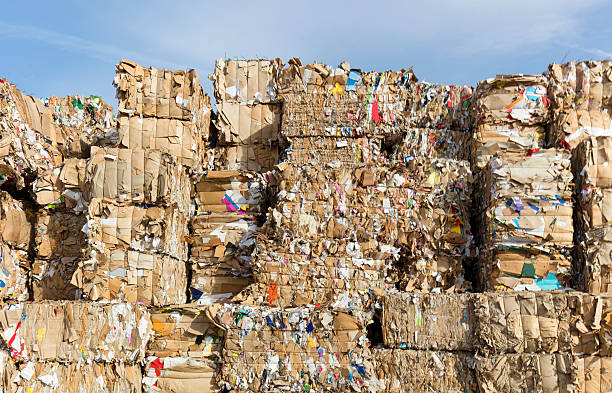 종이 재활용 - recycling paper garbage recycling center 뉴스 사진 이미지