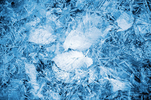 istock Autumnal fallen leaves lay under bright blue ice 519753223