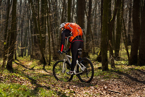 istock Mountain biker riding on bike in springforest landscape. 519754580