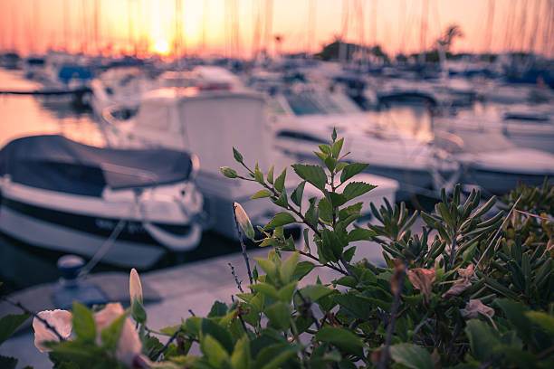 istock Yachts in the bay 519755524