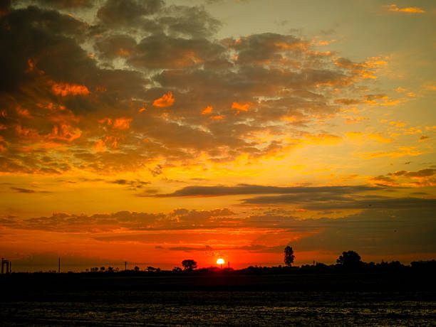 istock silhouette tree at sunrise on field 519755746
