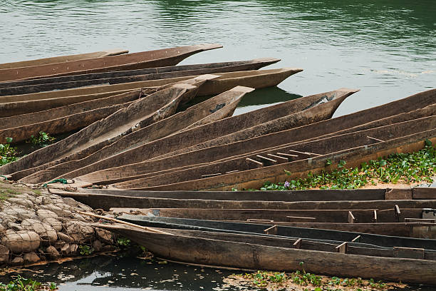 Nepal canoe Nepal. Chitwan National park. Wooden canoes the rivers moored to coast chitwan national park photos stock pictures, royalty-free photos & images