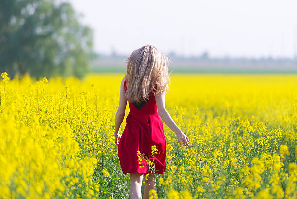 istock The girl in red is on the rape field. 519759092
