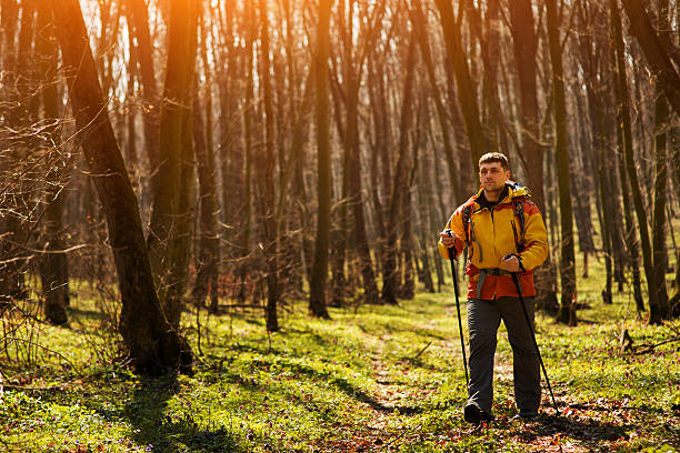 uomo sano e attivo escursioni nel bellissimo bosco - hardshell foto e immagini stock