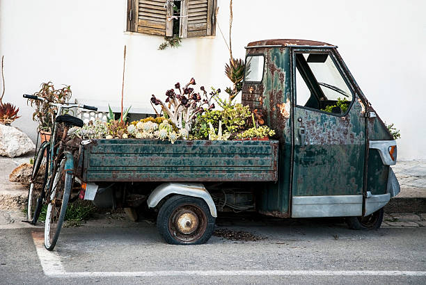 Rusty Italian tricycle Apecar with diferent plants