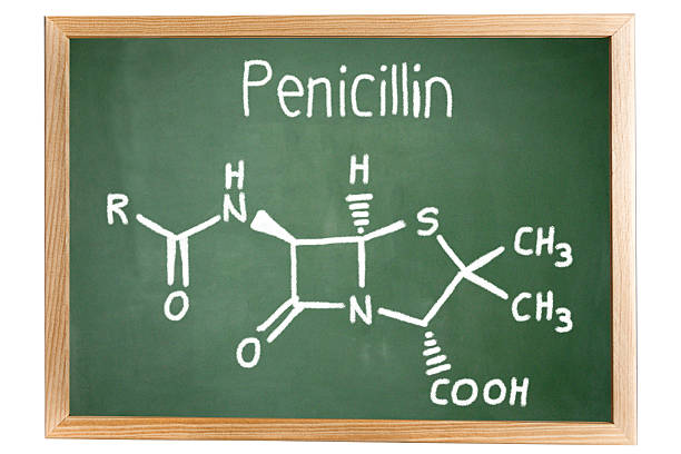 istock Blackboard with the chemical formula of Penicillin 519761972