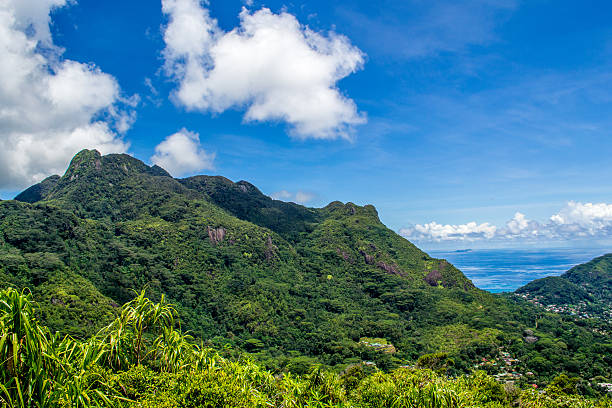 istock Morne Seychellois National Park - Mahe - Seychelles 519762388
