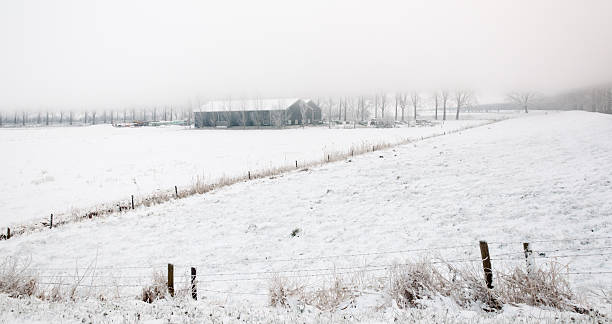 istock Misty winter landscape with a barn 519763411