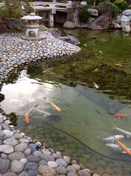 istock Japanese Garden, Monaco 519767295
